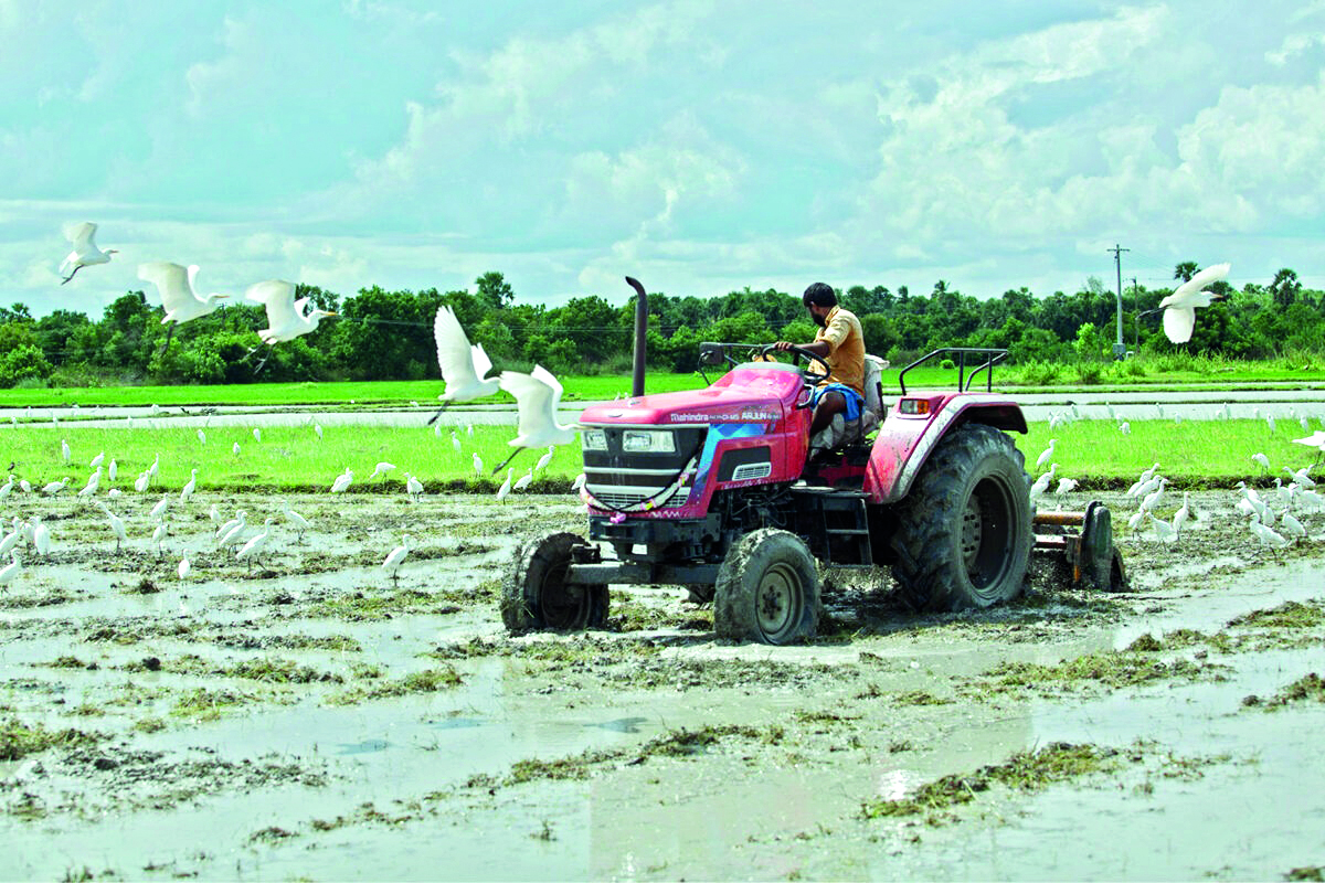 ‘Agri sector undergoes great transformation in past 11 yrs’ ‘Agri sector undergoes great transformation in past 11 yrs’