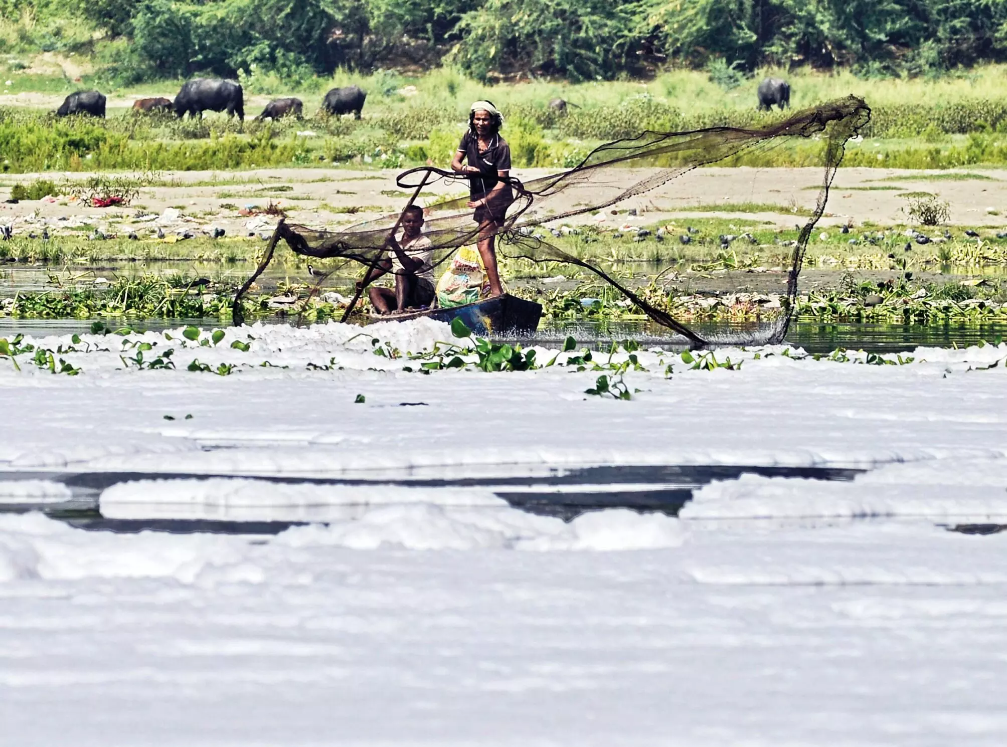 ‘Plan to improve dying Yamuna’s environmental flow in works’