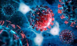 Bengal reports 71 new Covid infections, 693 active cases Bengal reports 71 new Covid infections, 693 active cases