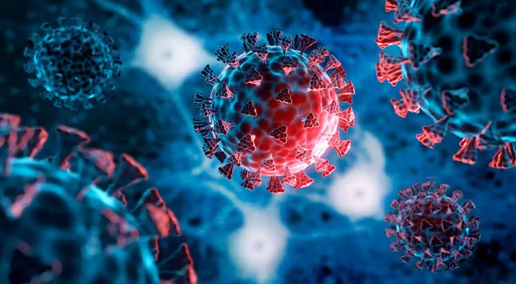 Bengal reports 71 new Covid infections, 693 active cases Bengal reports 71 new Covid infections, 693 active cases