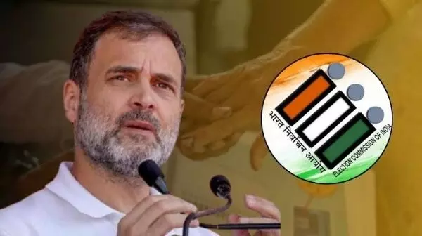 Write to EC formally: Poll panel sources on Rahul seeking reply on election rigging claim