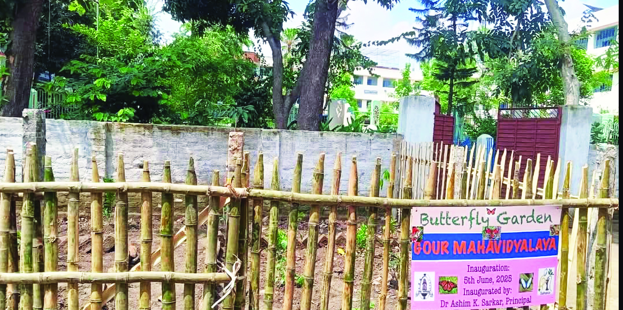 Gour College to establish Malda’s first butterfly garden; A step towards eco-education Gour College to establish Malda’s first butterfly garden; A step towards eco-education