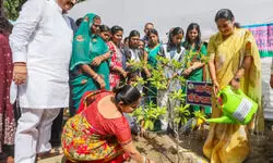 Delhi CM Rekha Gupta plants sindoor sapling at govt school