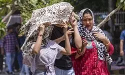 People struggle as Delhi-NCR scorches under relentless heat; IMD issues ‘Red Alert’