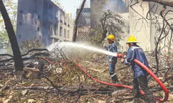 Experts cite engine failure, bird hit as possible causes Experts cite engine failure, bird hit as possible causes