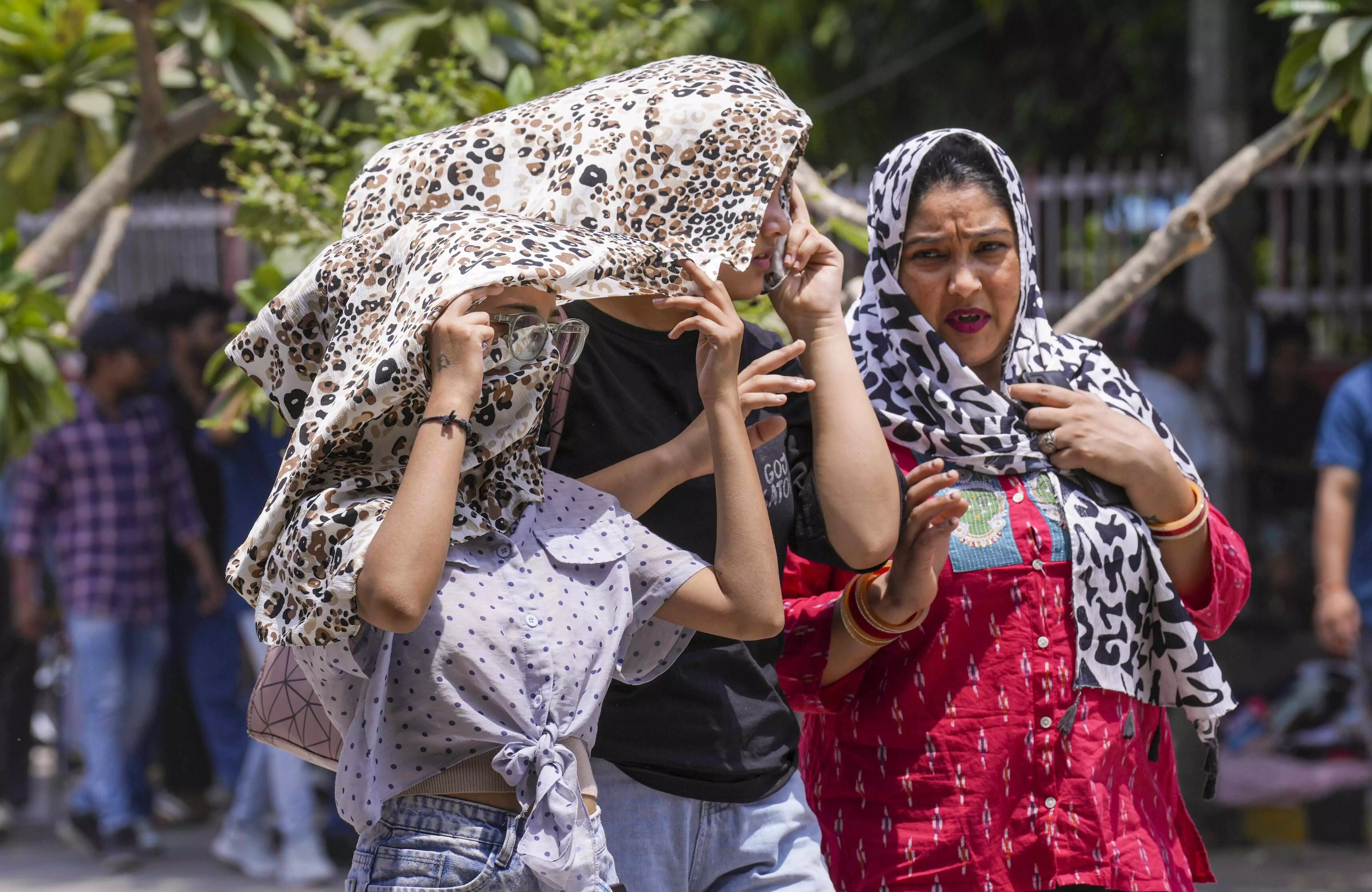 People struggle as Delhi-NCR scorches under relentless heat; IMD issues ‘Red Alert’ People struggle as Delhi-NCR scorches under relentless heat; IMD issues ‘Red Alert’