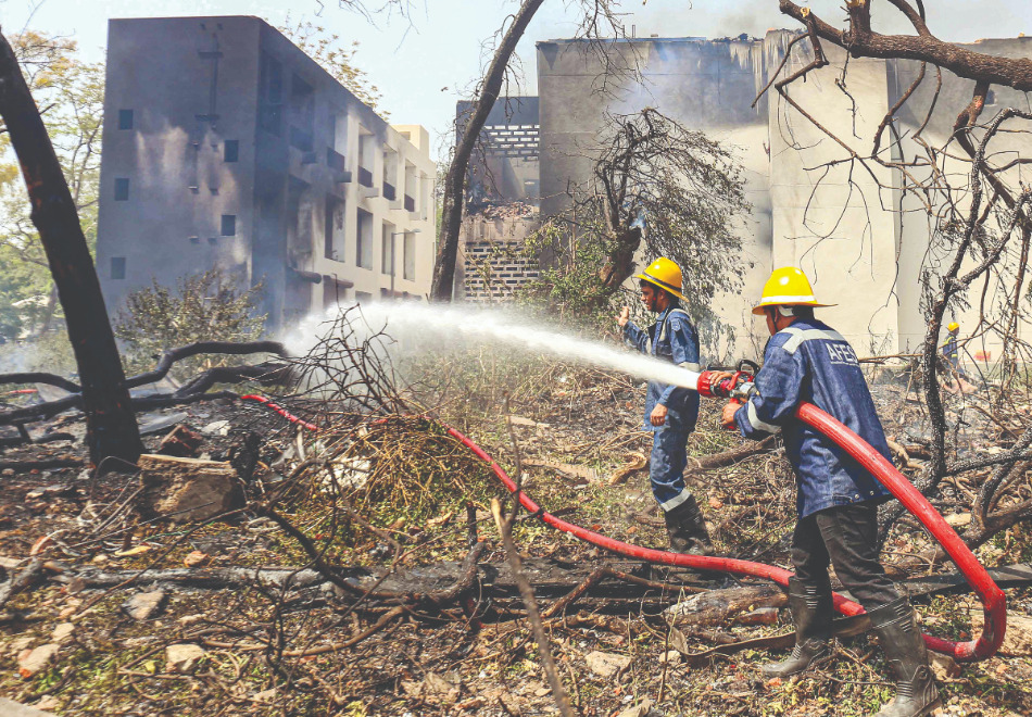 Experts cite engine failure, bird hit as possible causes