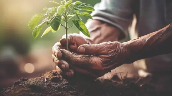 Cooch Behar Municipality launches tree plantation drive around 42 waterbodies under its jurisdiction Cooch Behar Municipality launches tree plantation drive around 42 waterbodies under its jurisdiction