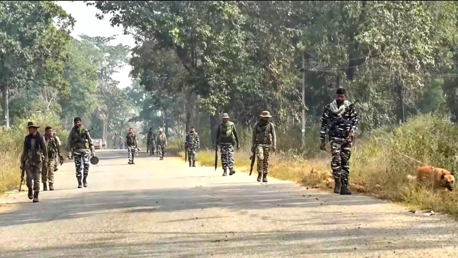 Madhya Pradesh: 4 Moists, including three women, killed in encounter Madhya Pradesh: 4 Moists, including three women, killed in encounter