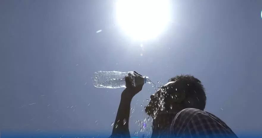 Blistering heat continues in north and central India, hills scorch Blistering heat continues in north and central India, hills scorch