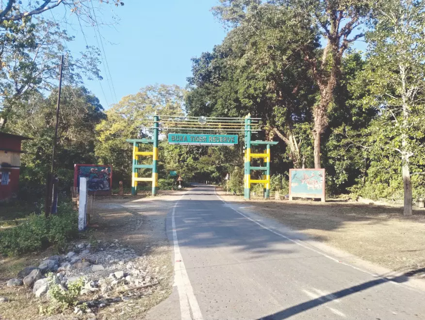 State’s forests to remain closed during monsoons