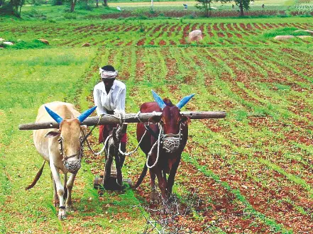 ‘State’s farmer-friendly schemes curb migration & reduce suicide cases’ ‘State’s farmer-friendly schemes curb migration & reduce suicide cases’