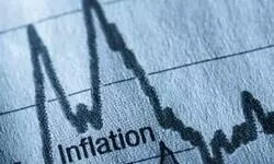 WPI inflation dips to 14-month low of 0.39% in May on easing food, fuel prices