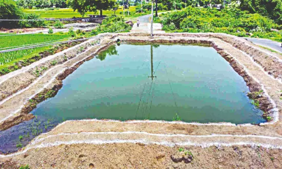 State launches ‘Abhoy Pukur’ project for fish conservation State launches ‘Abhoy Pukur’ project for fish conservation