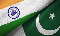 ‘Salted’ by Politics