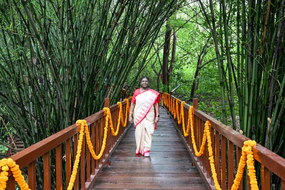 Your words remain a source of strength for me: President Murmu on her 67th birthday Your words remain a source of strength for me: President Murmu on her 67th birthday