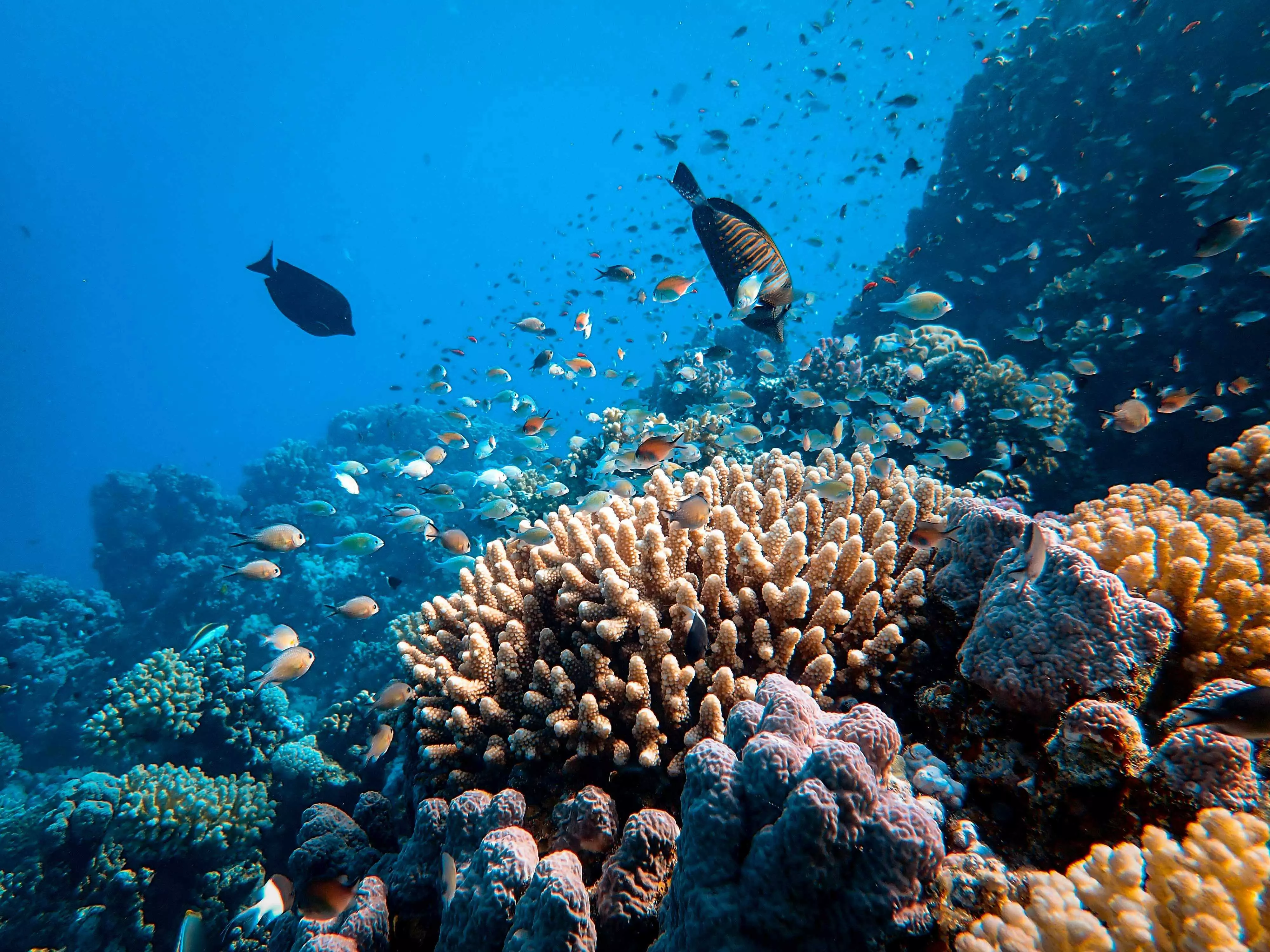 Still a Deep Dive Ahead Still a Deep Dive Ahead