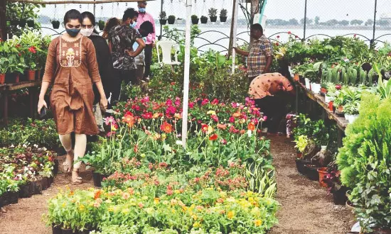 Capital to host grand ‘Van Mahotsav 2025’ with massive green drive, plant exhibition Capital to host grand ‘Van Mahotsav 2025’ with massive green drive, plant exhibition