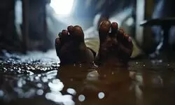 Three died from toxic gas while trying to rescue calf from well in MPs Guna: Police Three died from toxic gas while trying to rescue calf from well in MPs Guna: Police