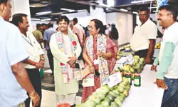 Bengal Mango Mela and Handloom Expo 2025 brings flavours and culture to Delhi