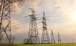 Over 300 grace Electrical Safety Day celebrations