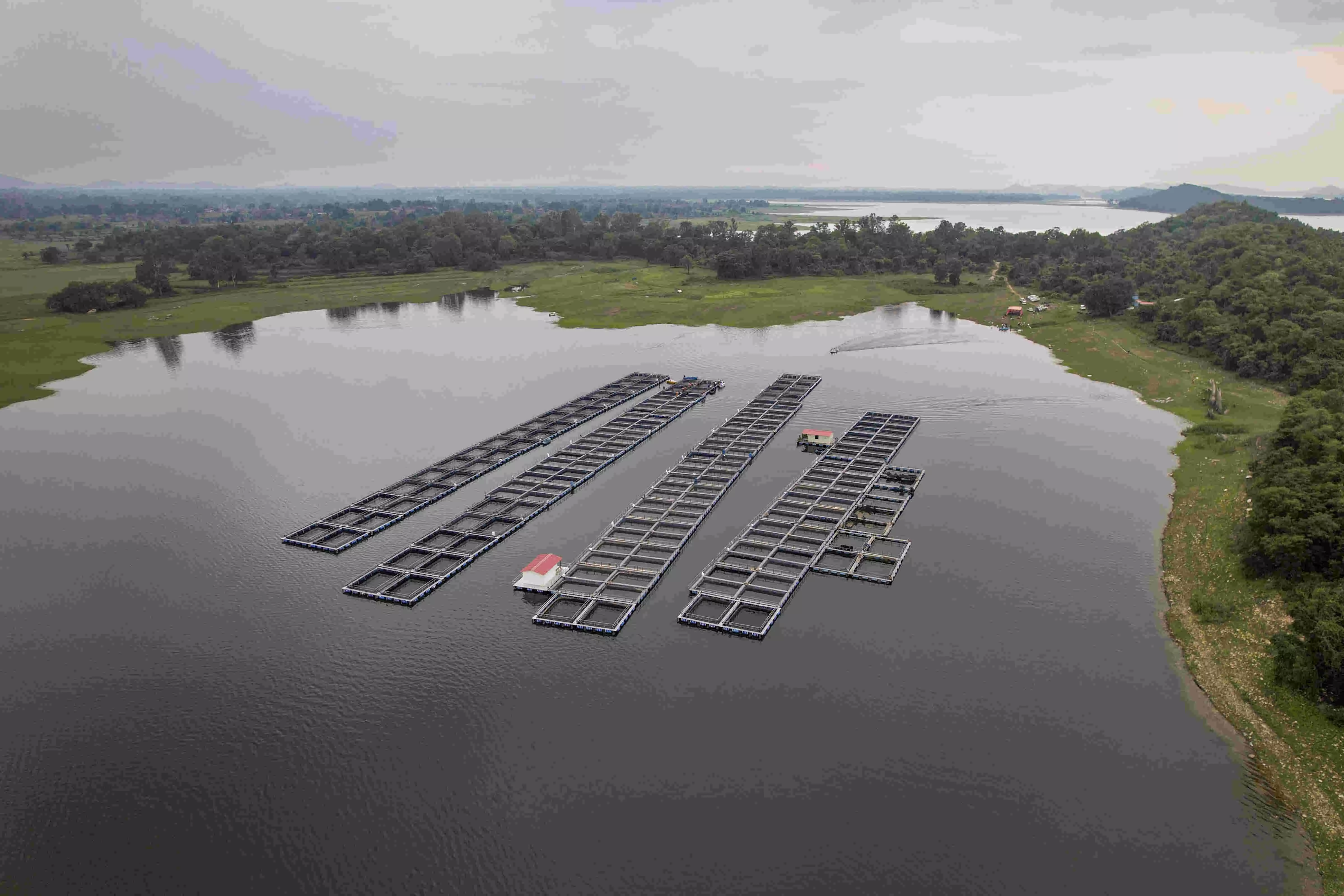 Abandoned coal pits turn into fish farms, provide livelihood in Jharkhand