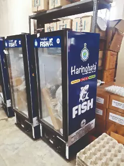 Haringhata set to launch ‘chilled fish’ Haringhata set to launch ‘chilled fish’