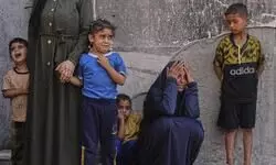 74 killed in Gaza as Israeli forces strike cafe, fire on people seeking food