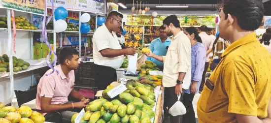 Bengal mangoes in high demand at Delhi Expo; 25 tonnes sold