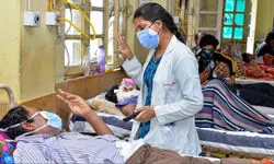 The Indispensable Human Touch The Indispensable Human Touch