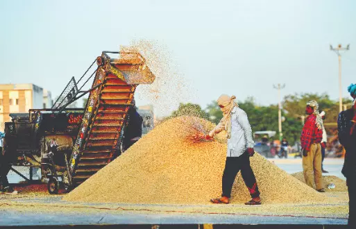 Bengal logs record paddy production at 256.53L MT Bengal logs record paddy production at 256.53L MT