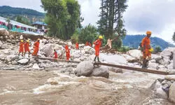 Himachal: 43 dead in 2 weeks, 37 missing