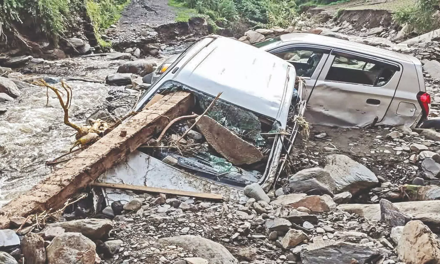 Himachal rain fury: 52 killed, search operation intensified for missing 28
