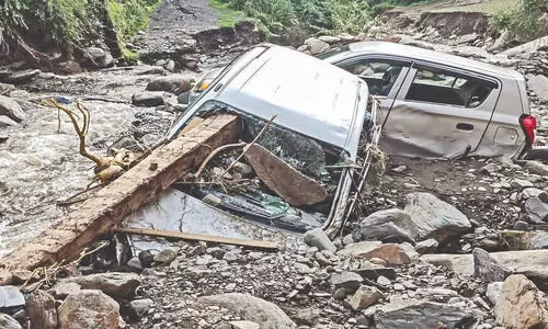 Himachal rain fury: 52 killed, search operation intensified for missing 28