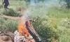 FATAL CRASH: Both pilots dead as IAF jet crashes in Rajasthan