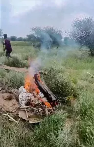 Two pilots killed in IAF jet crash near Churu in Rajasthan Two pilots killed in IAF jet crash near Churu in Rajasthan
