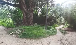 Eco Park to come up at Dangi Forest area in Balurghat; location inspected Eco Park to come up at Dangi Forest area in Balurghat; location inspected