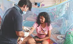 Milestone: Panihati becomes first dengue-free zone in state, says report Milestone: Panihati becomes first dengue-free zone in state, says report