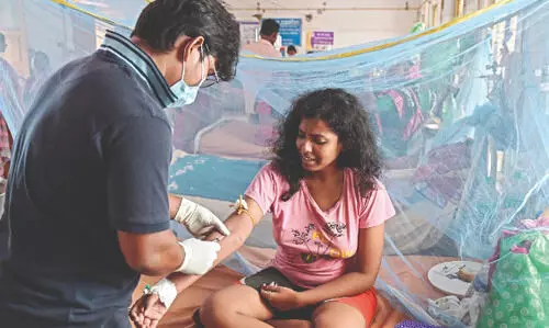 Milestone: Panihati becomes first dengue-free zone in state, says report