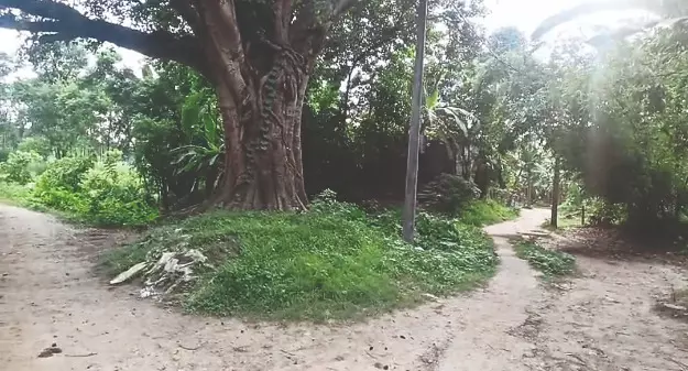 Eco Park to come up at Dangi Forest area in Balurghat; location inspected Eco Park to come up at Dangi Forest area in Balurghat; location inspected