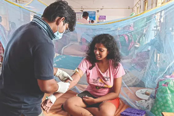 Milestone: Panihati becomes first dengue-free zone in state, says report Milestone: Panihati becomes first dengue-free zone in state, says report
