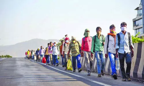 Cal HC seeks Centre, Delhi’s reply on ‘detention’ of 6 Bengal migrant workers