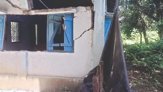 Wild elephant wreaks havoc at school in Dhupguri block