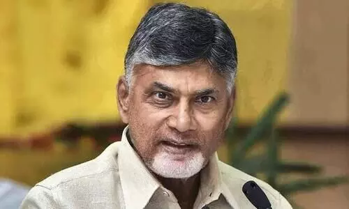 Andhra to unveil policy to tackle declining fertility, says CM Naidu
