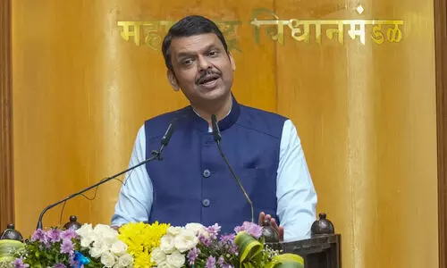 Jail up to 7 years, Rs 5 lakh fine key features of Maharashtra security bill cleared by legislature