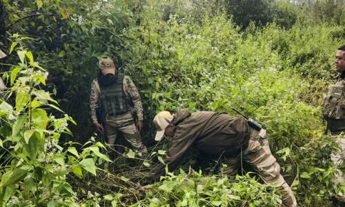 Five Maoist bunkers demolished; two IEDs seized in Jharkhand