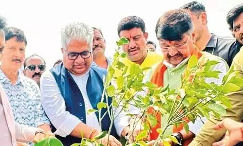 ‘Only trees give oxygen’: Bhupender Yadav hails Indore’s green drive as national model