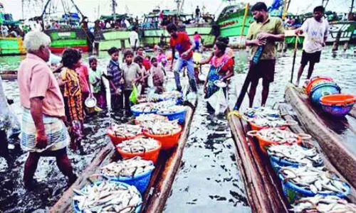 FY 2024-25: Bengal sees 4% rise in marine product export revenue