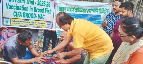 N Bengal launches fish vaccination trial to boost hatchery survival rates N Bengal launches fish vaccination trial to boost hatchery survival rates