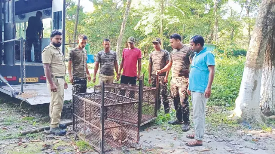 New wildlife additions boost appeal of Rasik Bill Mini Zoo New wildlife additions boost appeal of Rasik Bill Mini Zoo